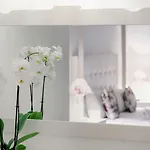 Hotel Adalya Port 4*